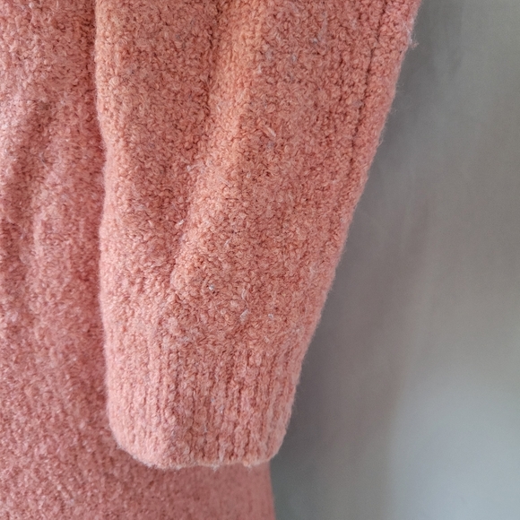Everlane Teddy Boucle Crew Neck Wool Sweater Pink S - Picture 14 of 16